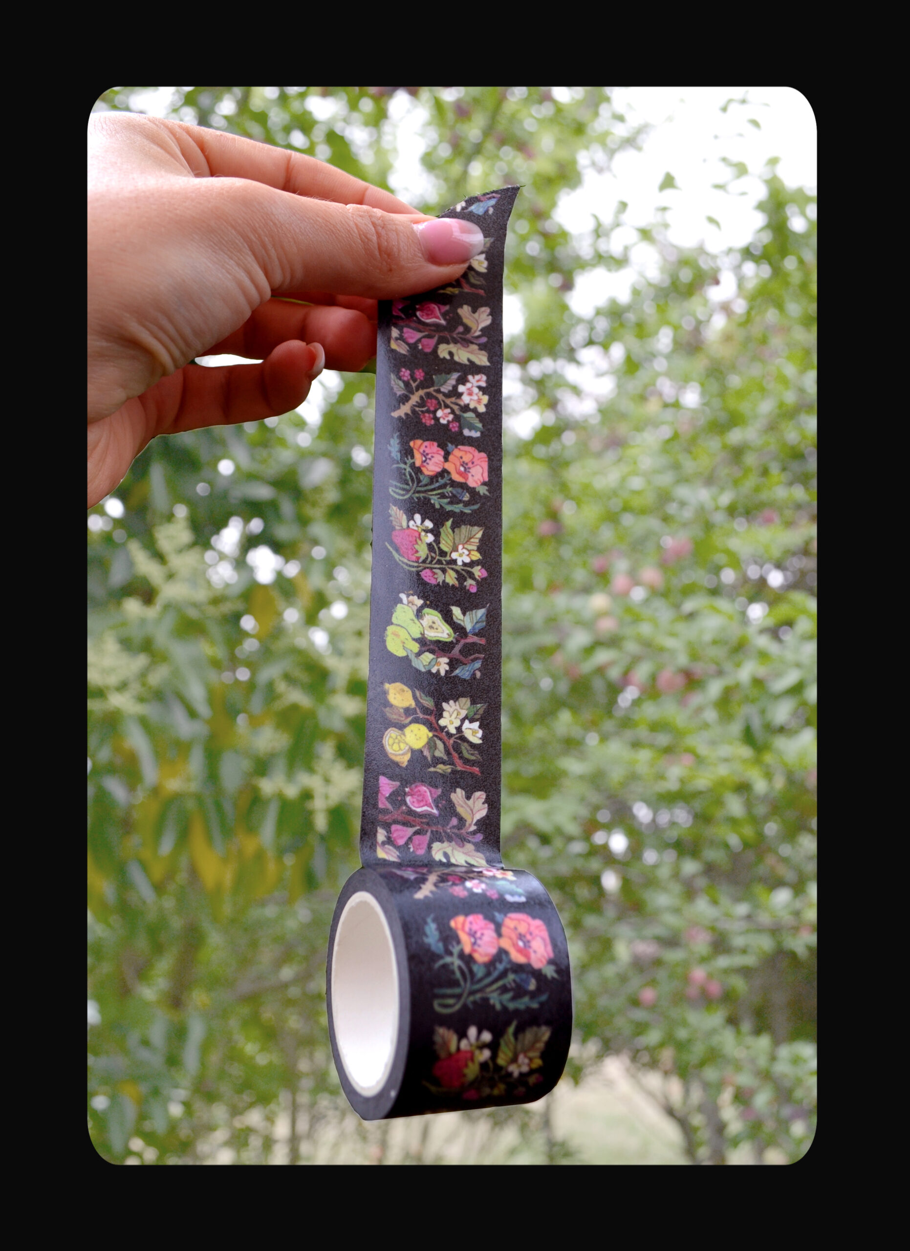 Washitape – Image 4